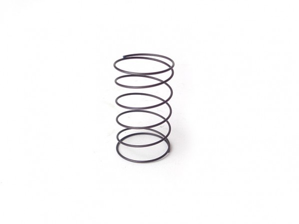 Starter Spring